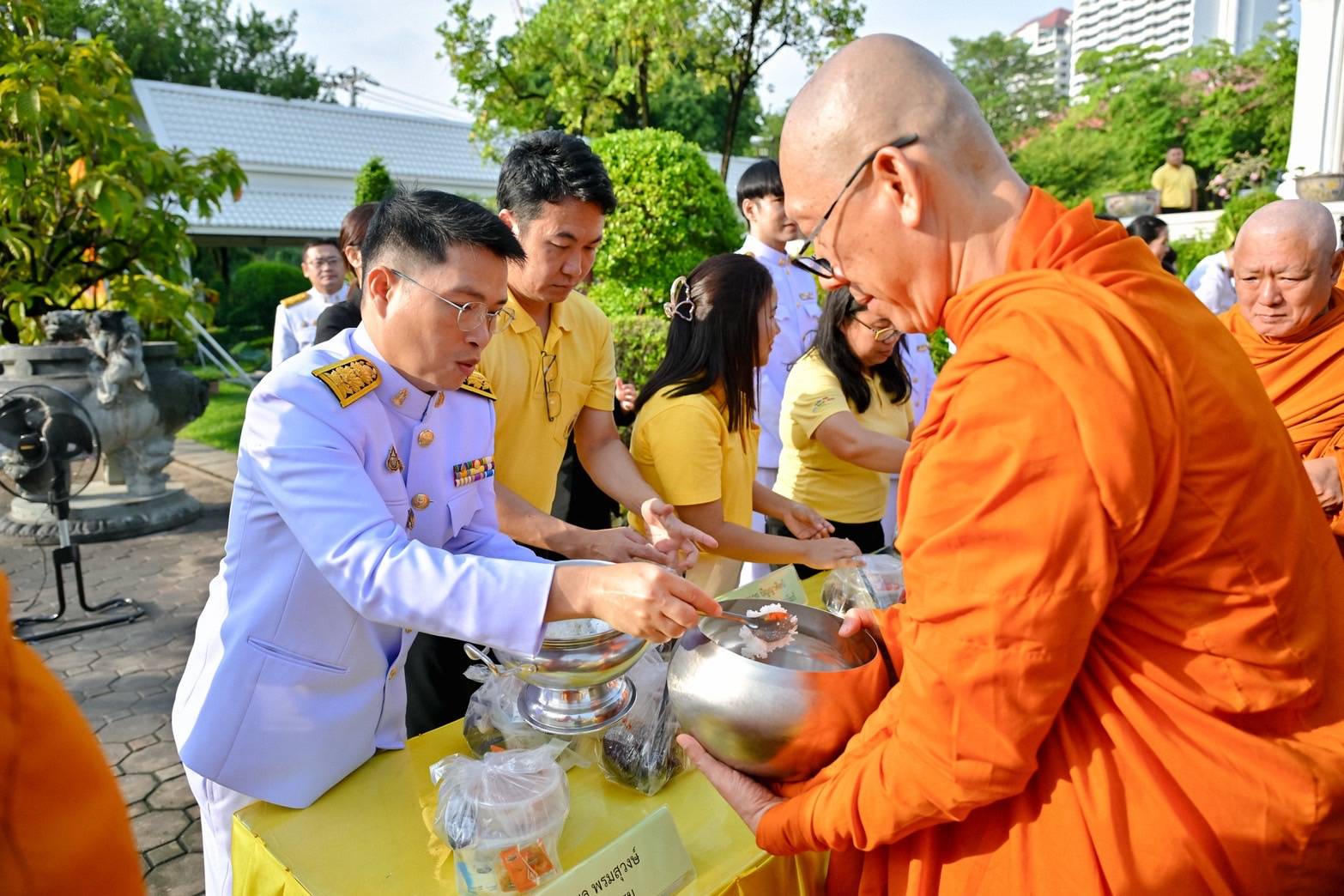 IMAGE - 4016