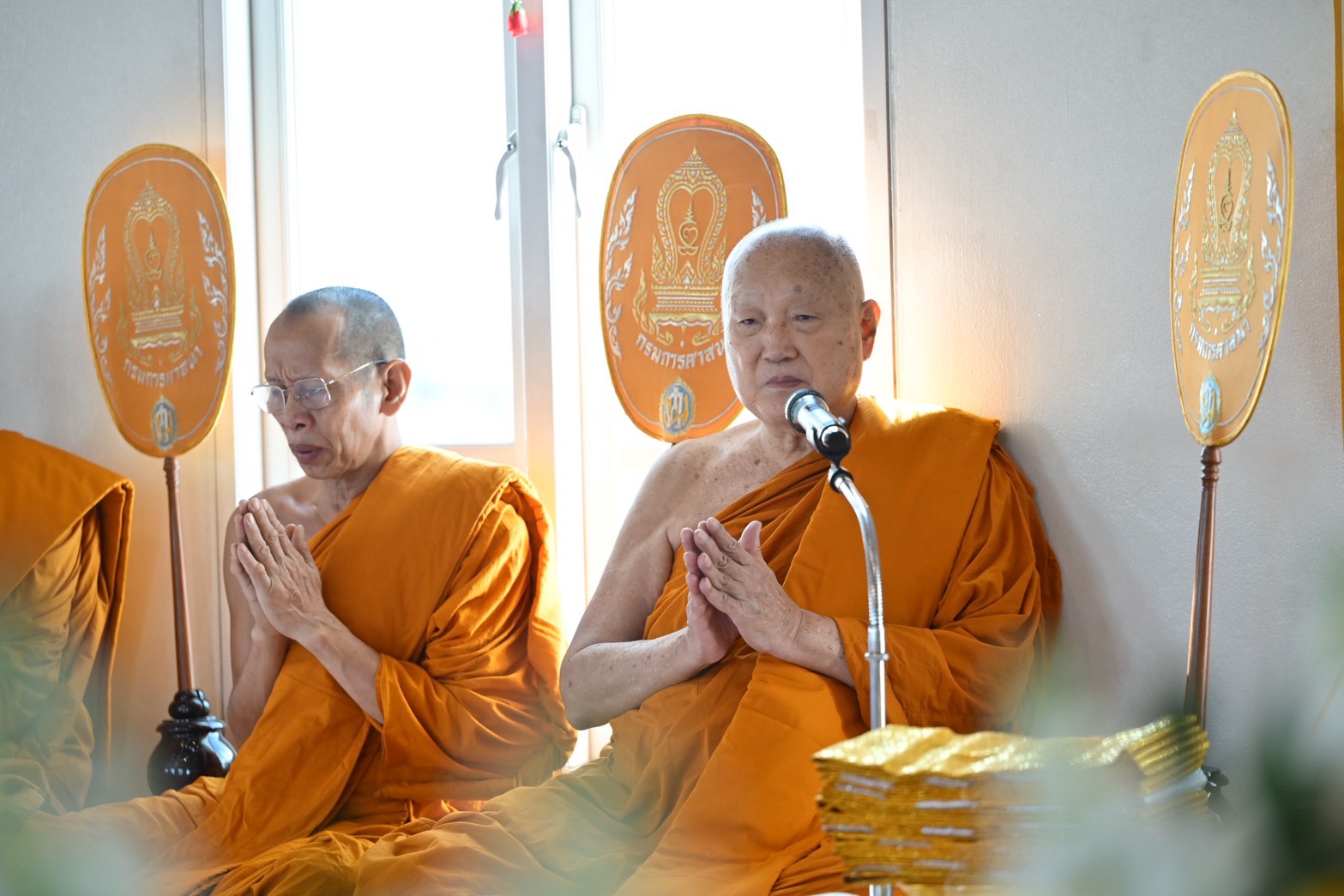 IMAGE - 10126